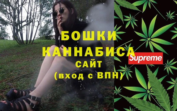 шишки Бугульма