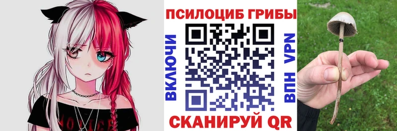 Галлюциногенные грибы ЛСД  Семёнов 